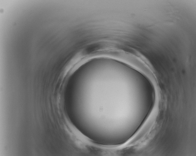 X0000062920909200601201958