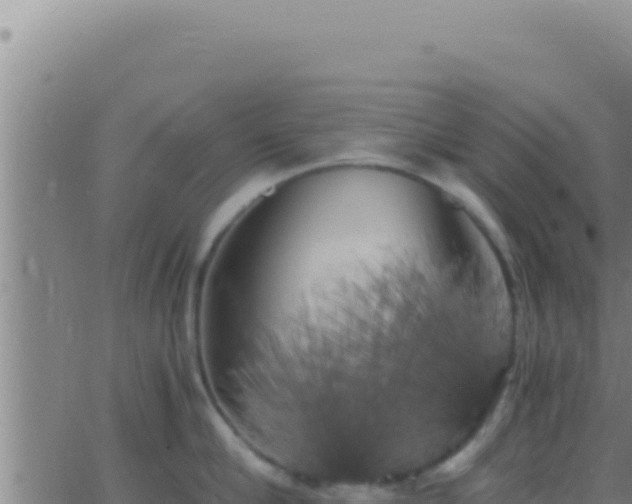 X0000062920910200601201958