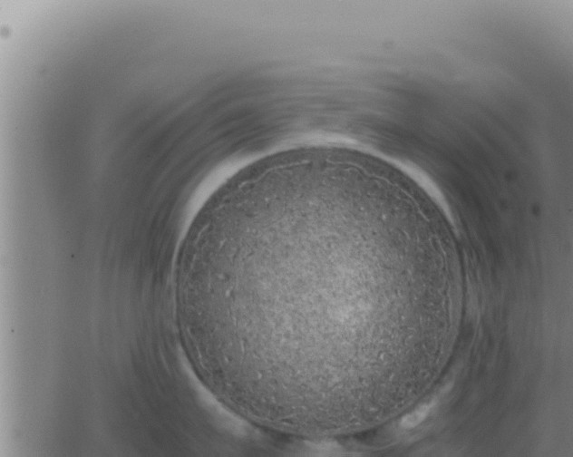 X0000062920911200601201958