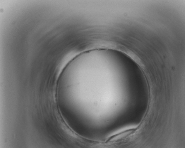 X0000062920912200601201958