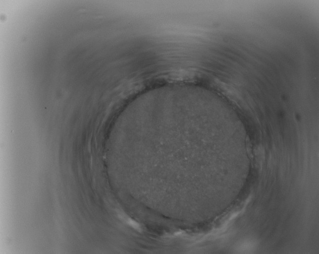 X0000062920913200601201957