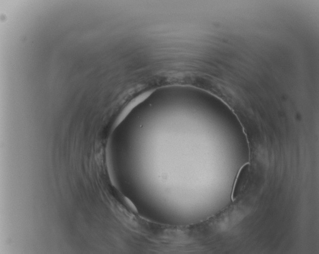 X0000062920914200601201957