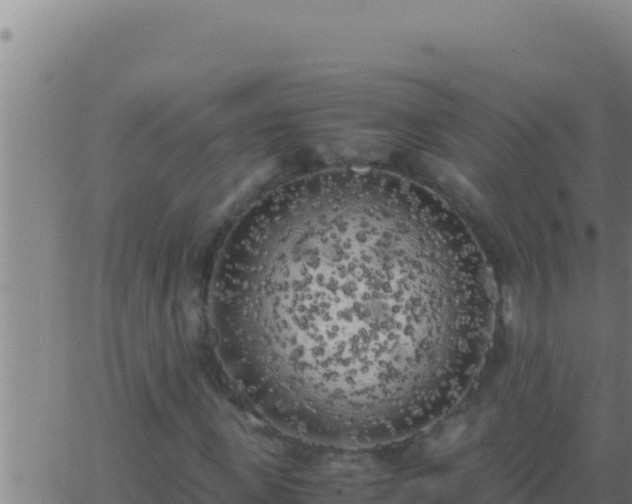 X0000062920915200601201957