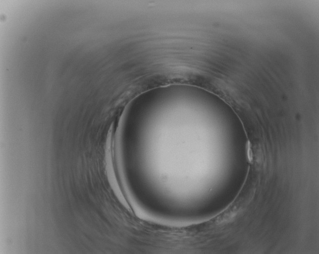 X0000062920916200601201957