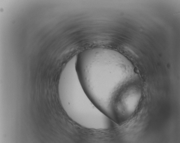 X0000062920917200601201958