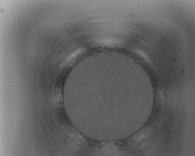 X0000062920918200601201958