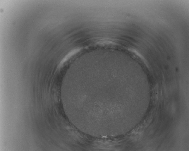 X0000062920919200601201958