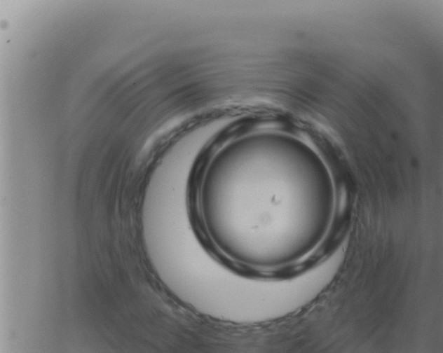 X0000062920920200601201958