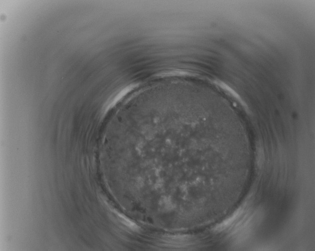 X0000062920921200601201958