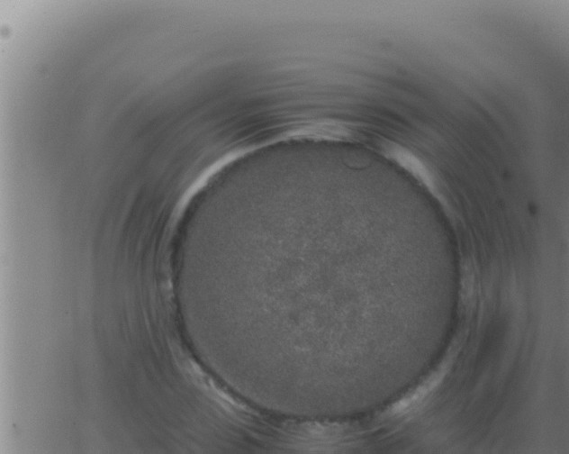 X0000062920923200601201958