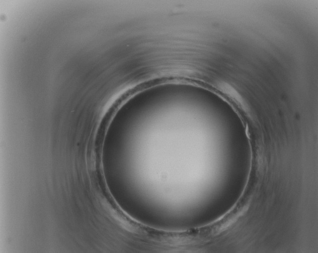 X0000062920924200601201958