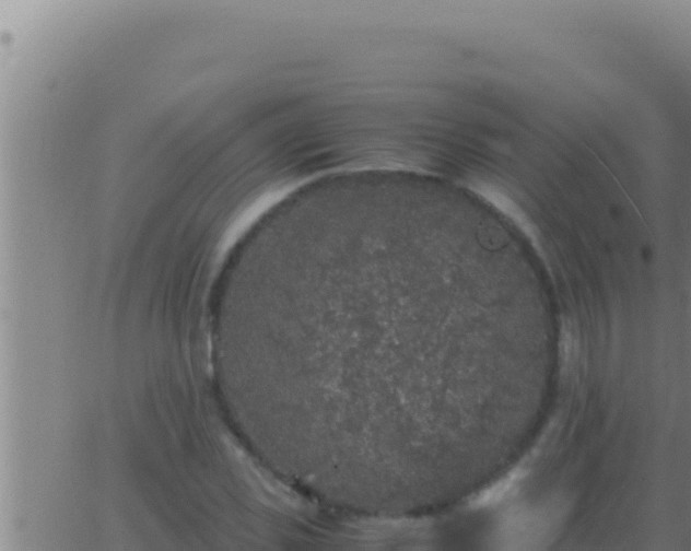 X0000062920925200601201958