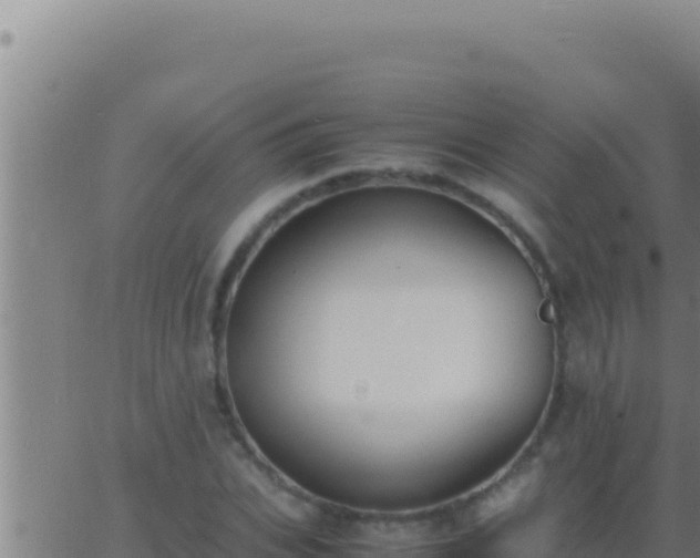 X0000062920927200601201958