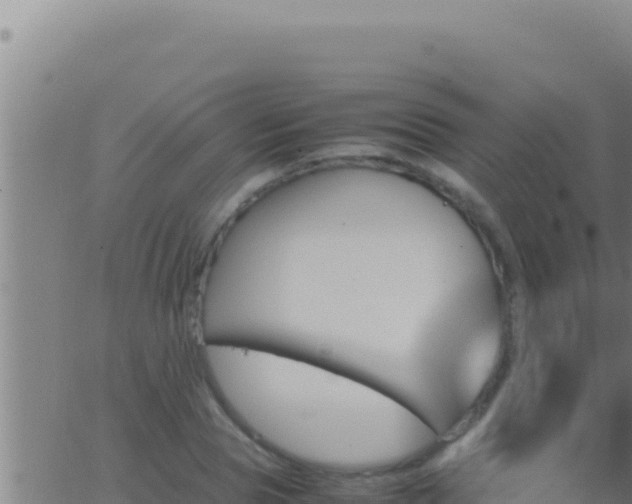 X0000062920929200601201958