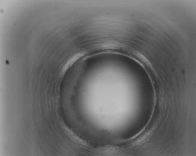 X0000062920930200601201958