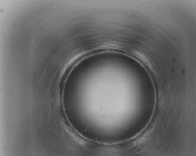 X0000062920931200601201958