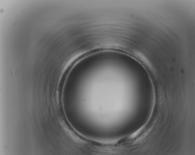 X0000062920932200601201958