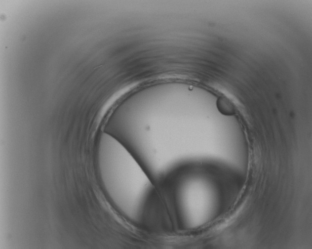 X0000062920933200601201958