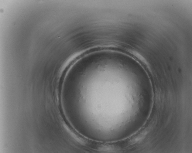 X0000062920935200601201958