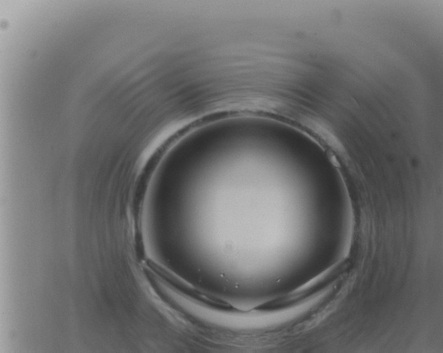 X0000062920936200601201958