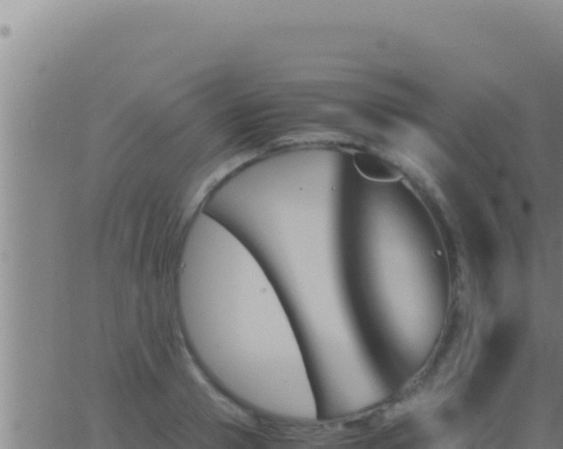 X0000062920937200601201958