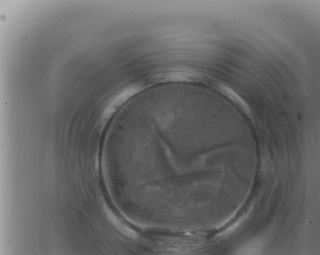 X0000062920938200601201958