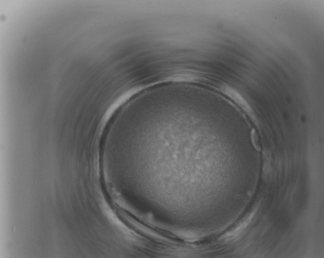 X0000062920939200601201958