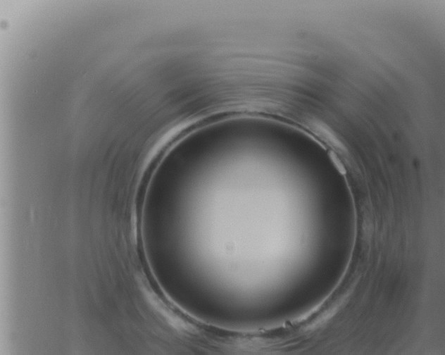 X0000062920940200601201958