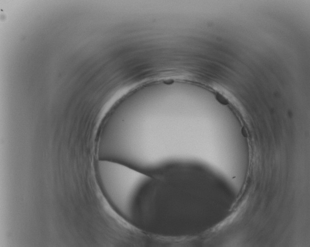 X0000062920941200601201958