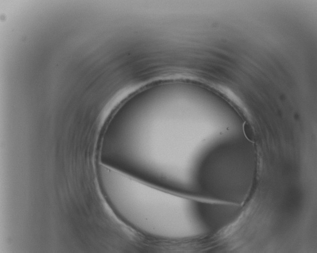 X0000062920943200601201958