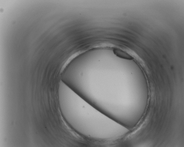 X0000062920945200601201958