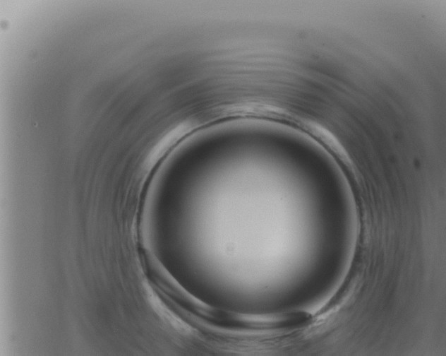 X0000062920946200601201958