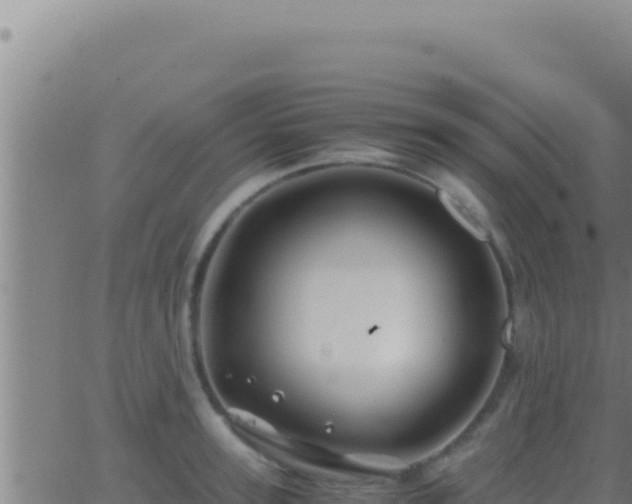 X0000062920947200601201958