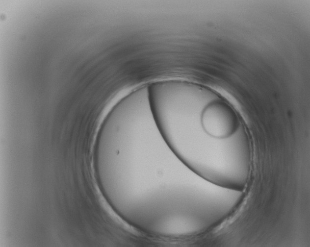 X0000062920949200601201958