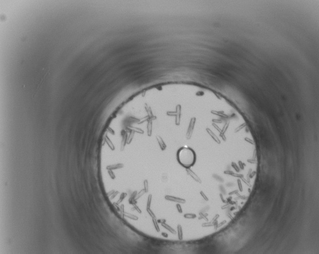 X0000062920950200601201958