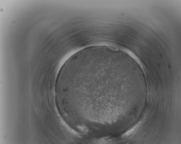 X0000062920951200601201958