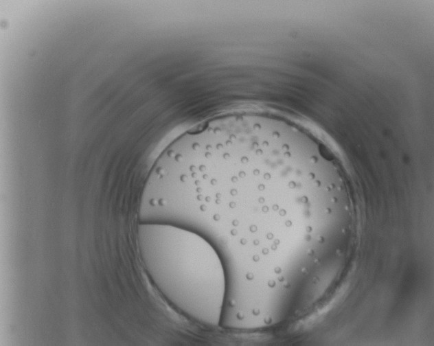 X0000062920953200601201958