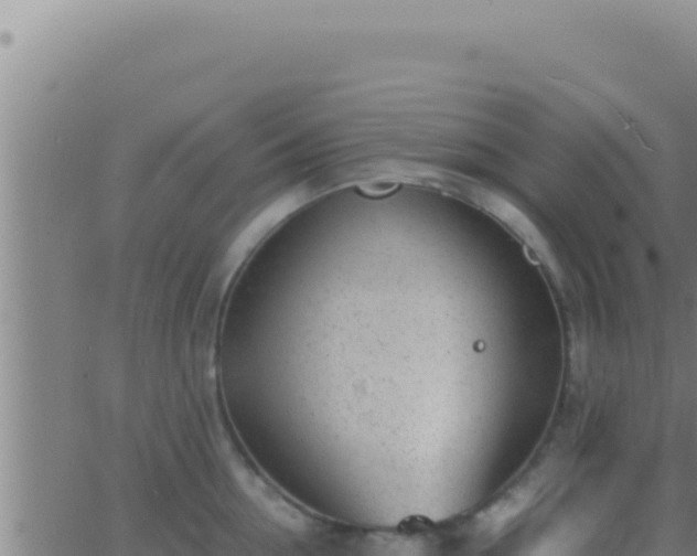 X0000062920954200601201958