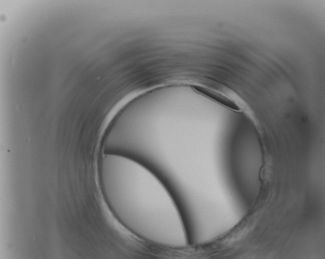 X0000062920955200601201958