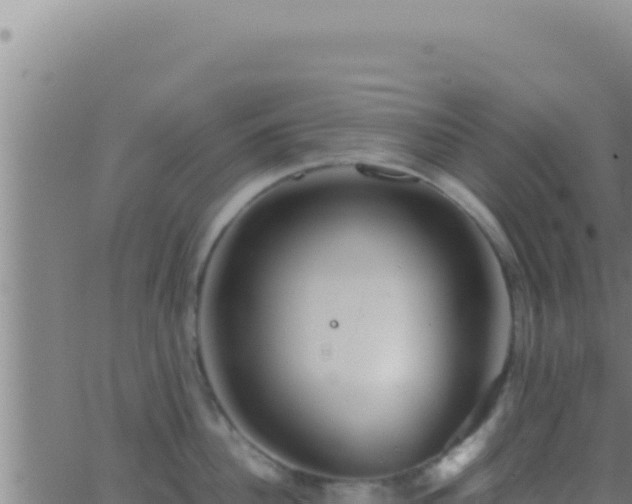 X0000062920956200601201958