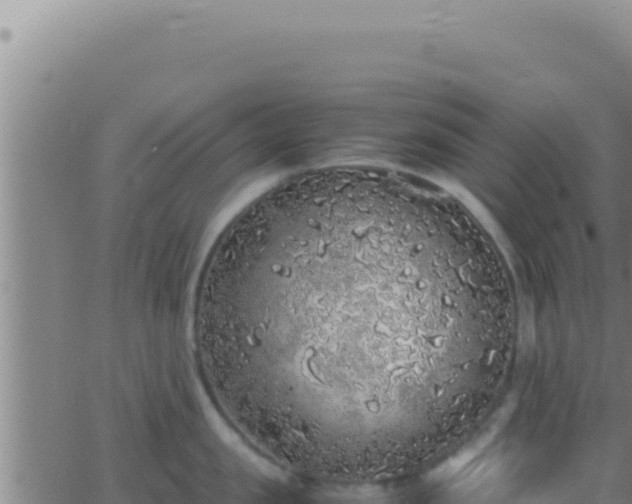 X0000062920957200601201958