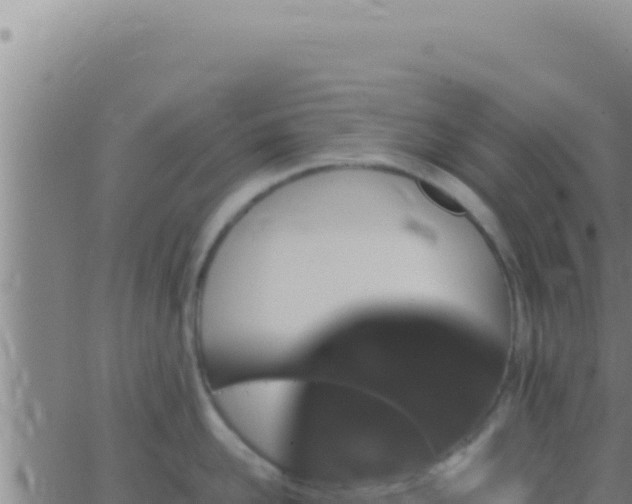 X0000062920958200601201958