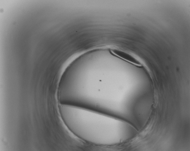 X0000062920959200601201958