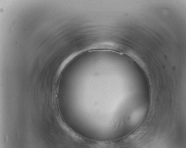 X0000062920960200601201958