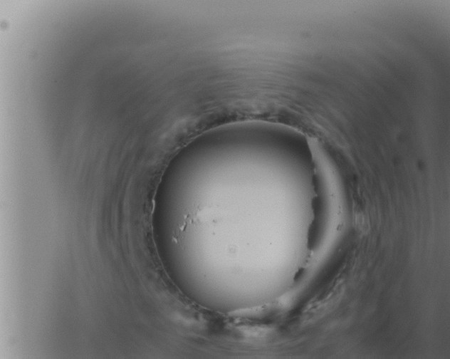 X0000062920961200601201957