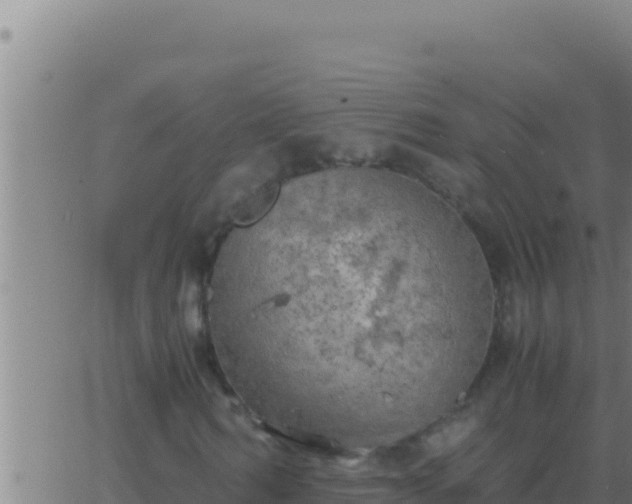 X0000062920962200601201957