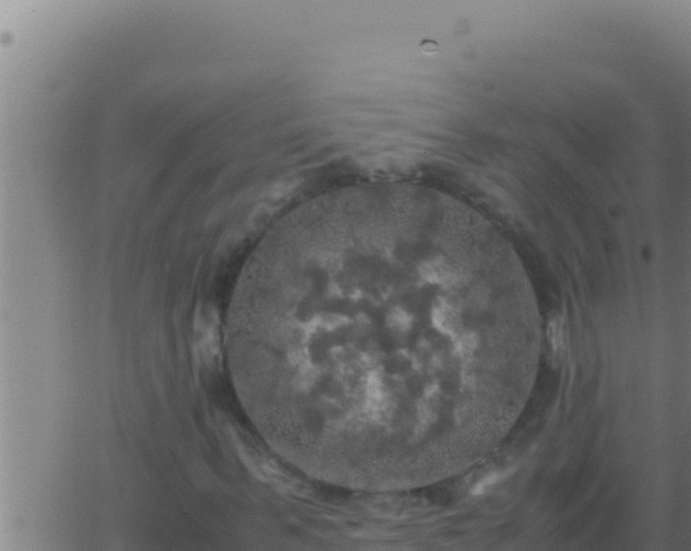 X0000062920963200601201957