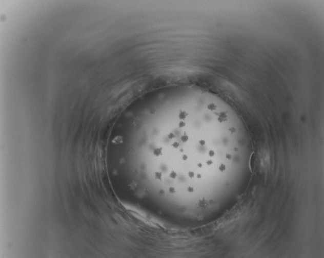 X0000062920964200601201957