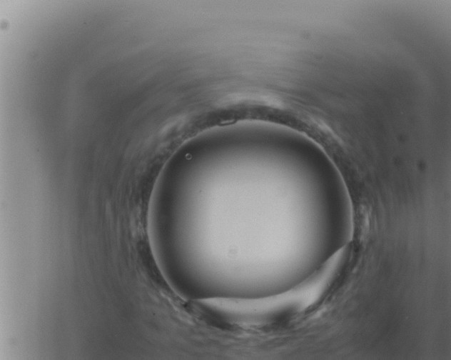 X0000062920965200601201957