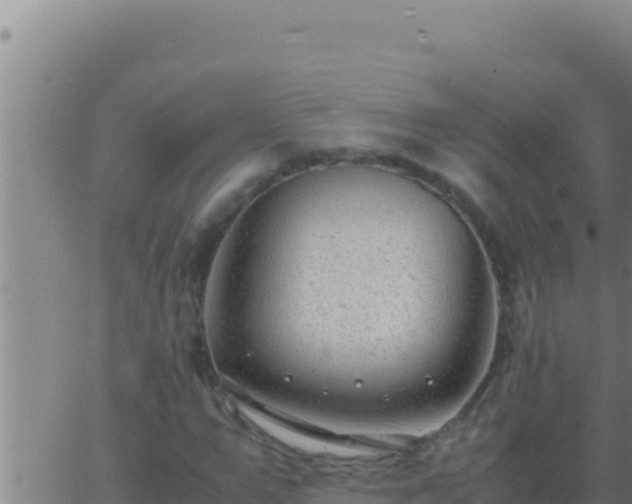 X0000062920967200601201957